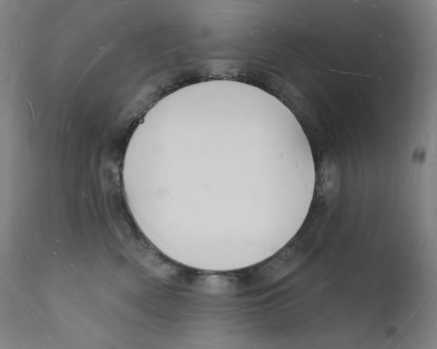 X0000112140522200909041042