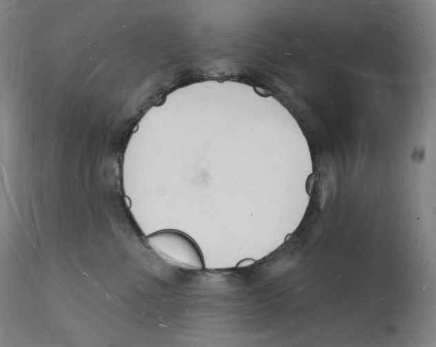 X0000112140523200909041042