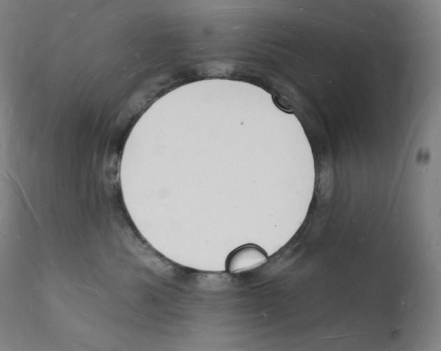 X0000112140525200909041042