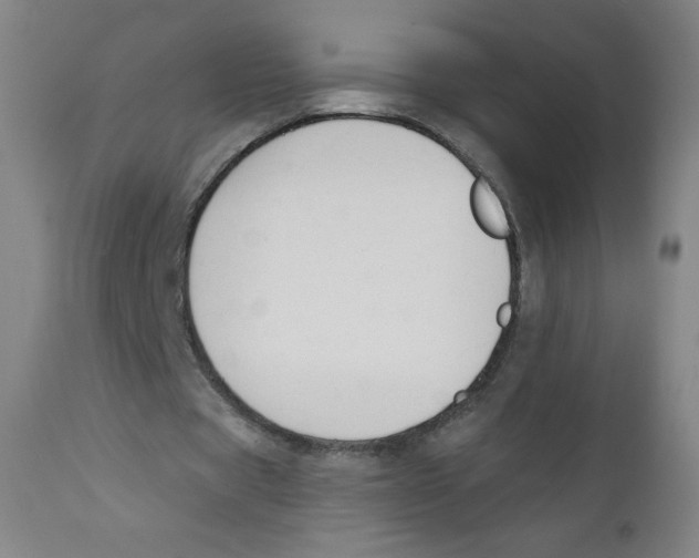 X0000112140529200909041041