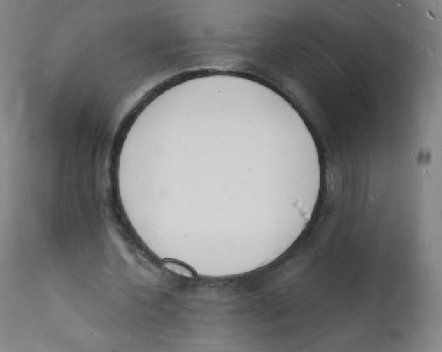 X0000112140532200909041042