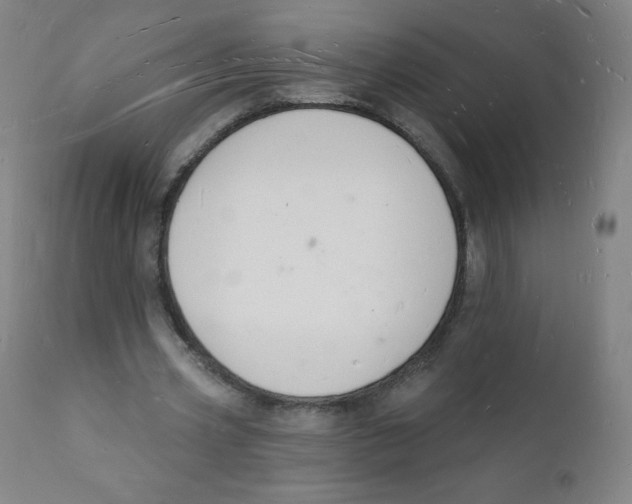 X0000112140533200909041042