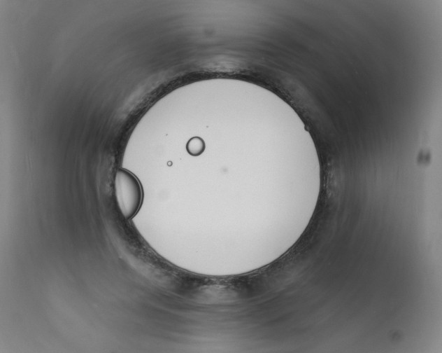 X0000112140544200909041042