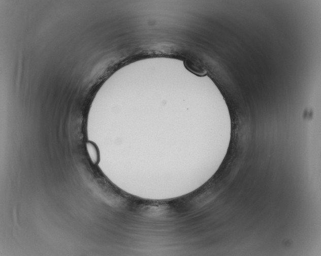 X0000112140548200909041042