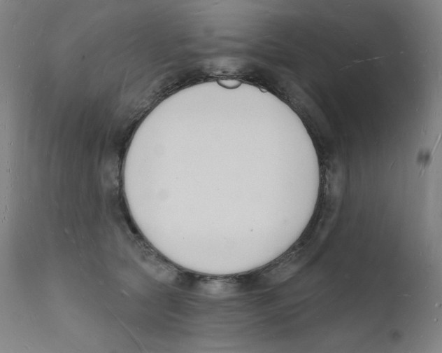 X0000112140561200909041042