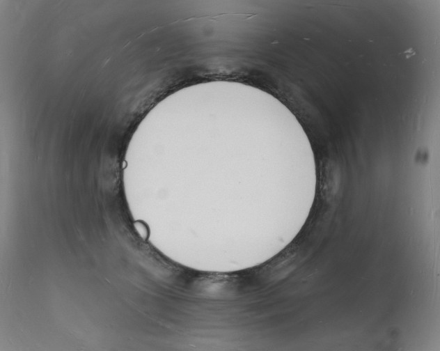 X0000112140563200909041042