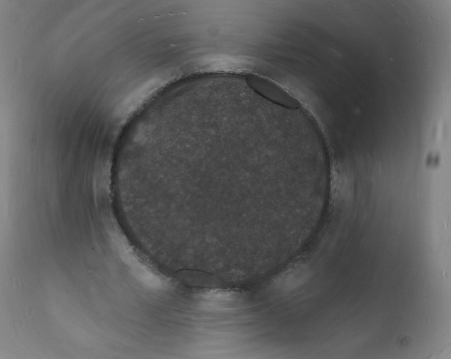 X0000112140581200909041041