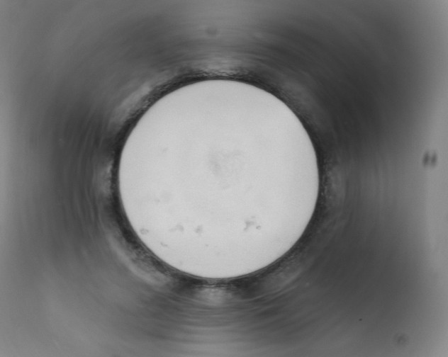 X0000112140596200909041041