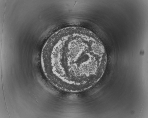 X0000112140600200909041041