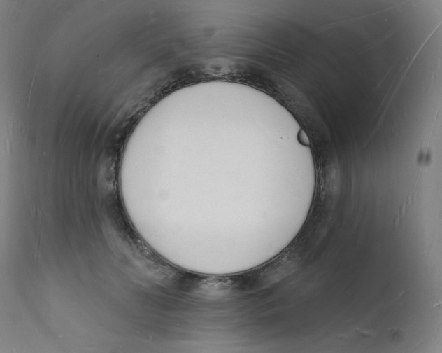 X0000112140606200909041041