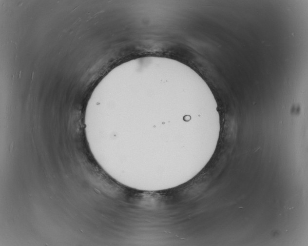 X0000112140612200909041041