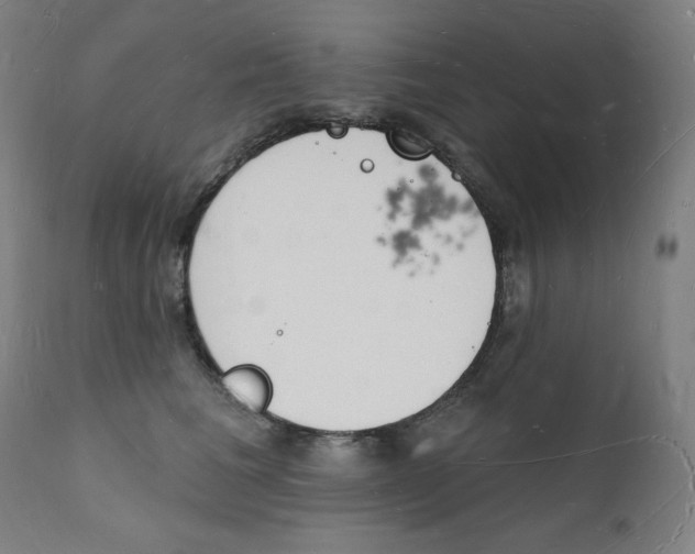 X0000112140613200909041041