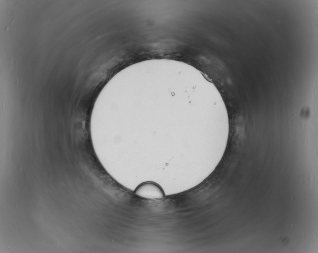 X0000112140615200909041041