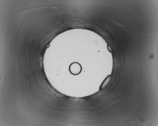 X0000112140621200909041041