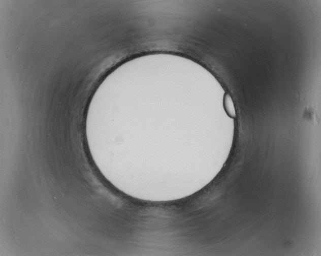 X0000112140625200909041040