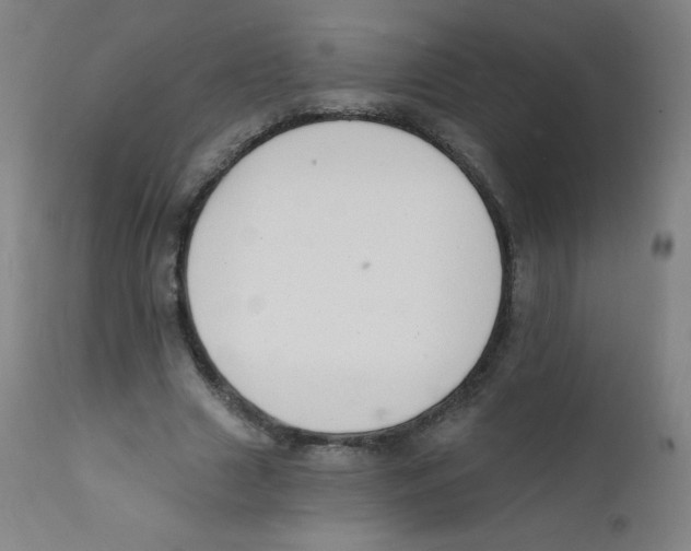 X0000112140633200909041040