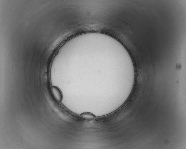 X0000112140634200909041040