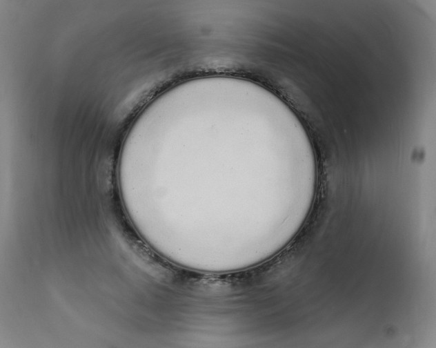 X0000112140640200909041040