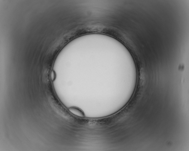 X0000112140641200909041040