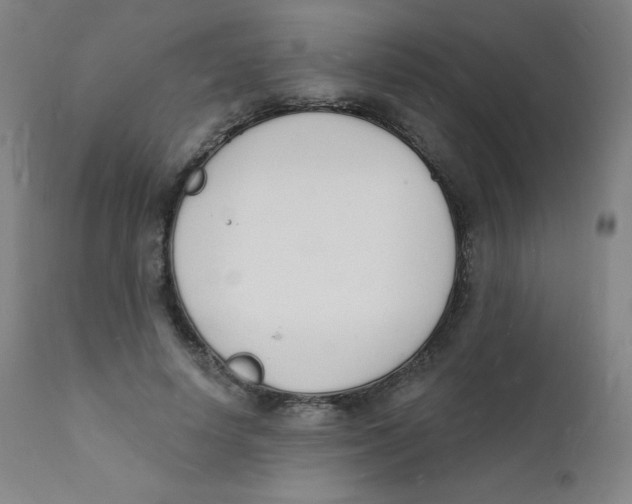 X0000112140642200909041040