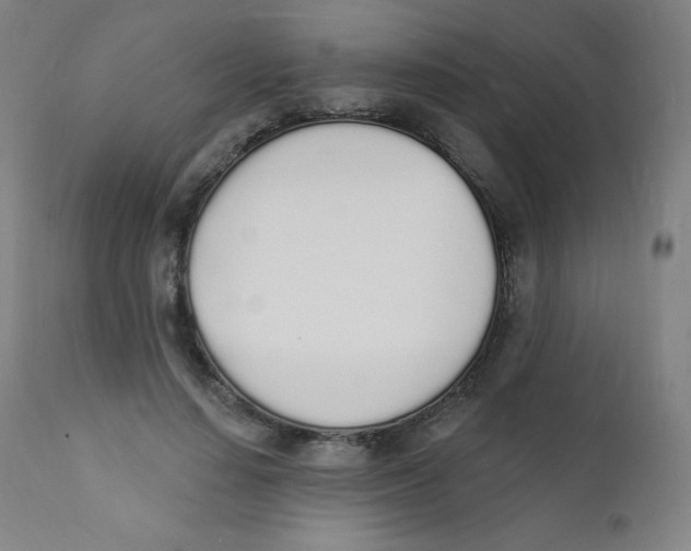 X0000112140644200909041040