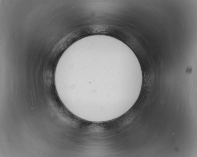 X0000112140648200909041040