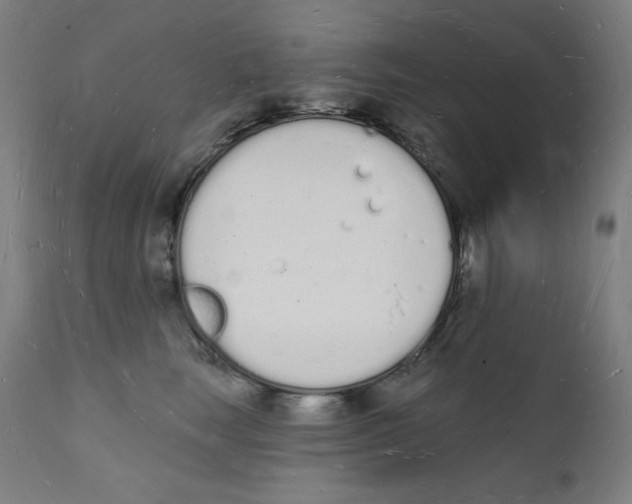 X0000112140663200909041040