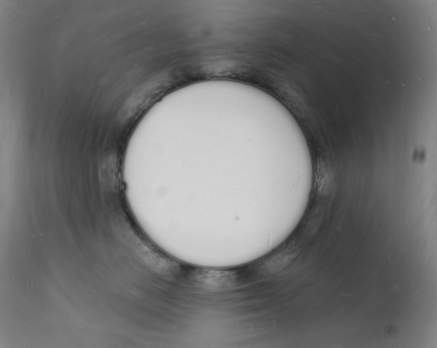 X0000112140670200909041040