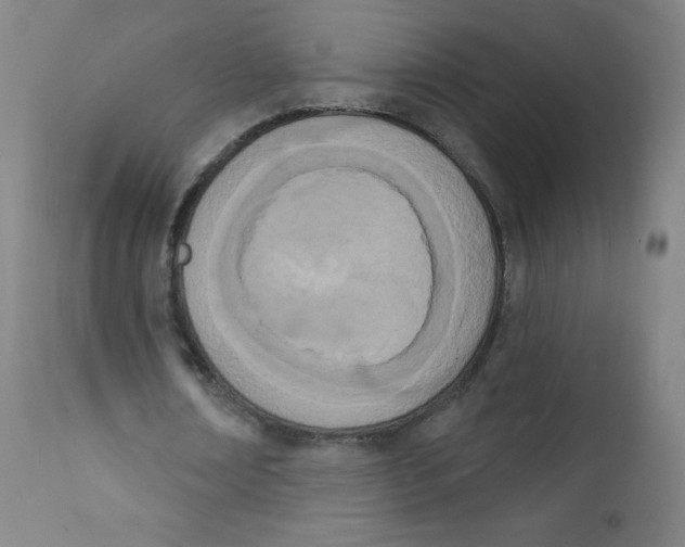 X0000112140674200909041040