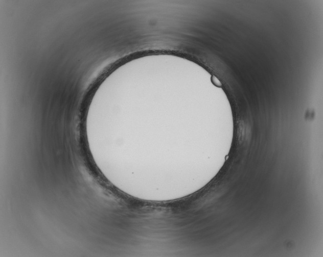 X0000112140676200909041040