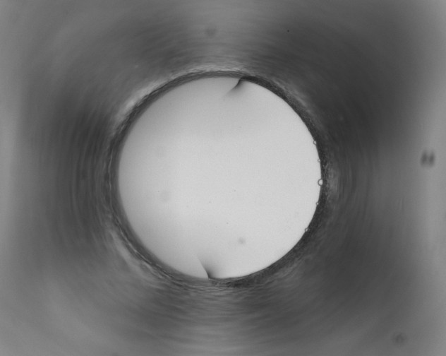 X0000112140684200909041039