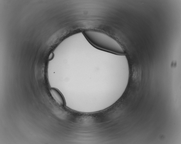 X0000112140685200909041039