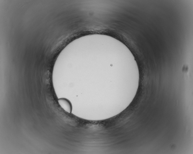 X0000112140689200909041039