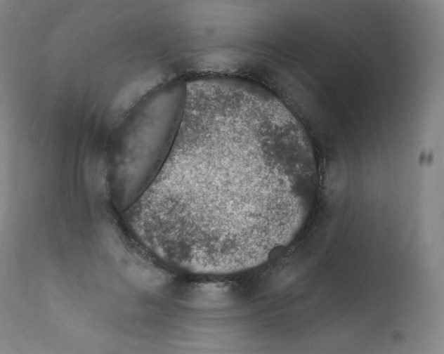 X0000112140692200909041039