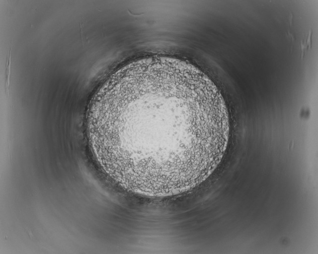 X0000112140696200909041039