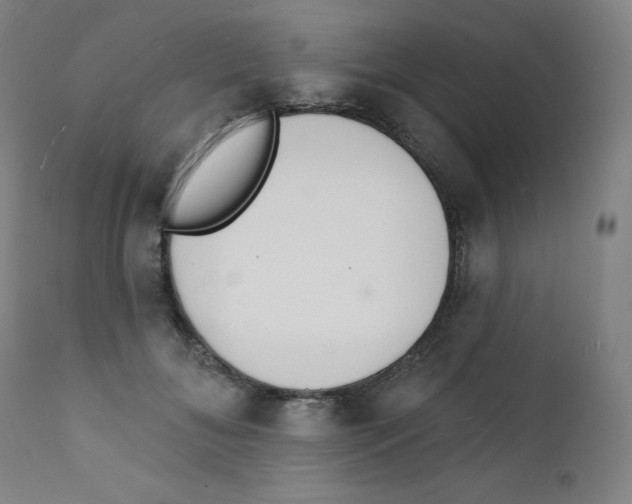 X0000112140700200909041039