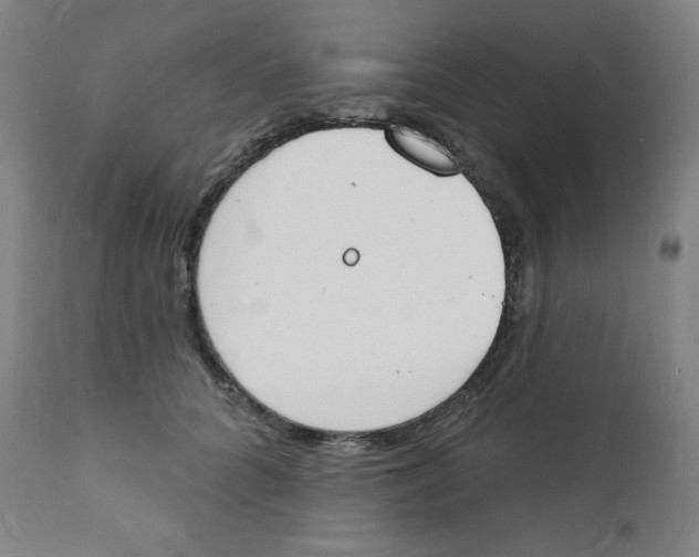 X0000112140704200909041039