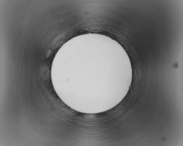 X0000112140705200909041039