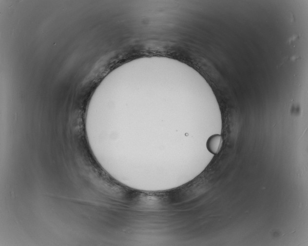 X0000112140706200909041039