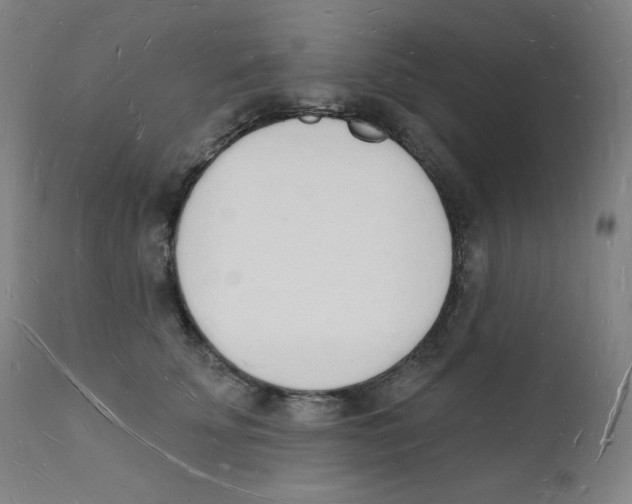 X0000112140707200909041039