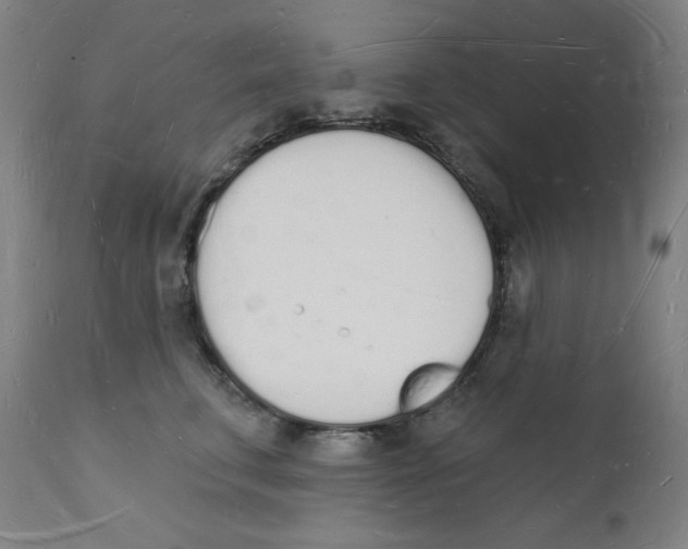 X0000112140711200909041039