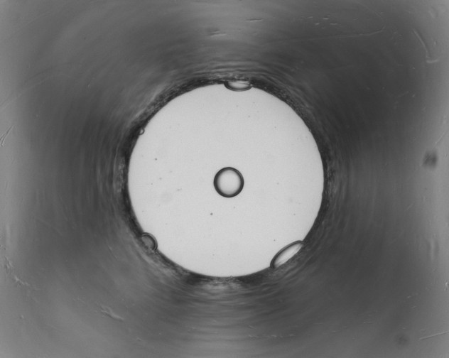 X0000112140712200909041039