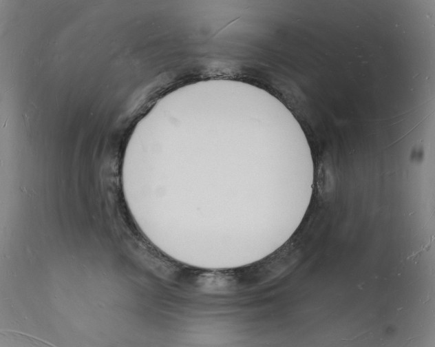 X0000112140714200909041039