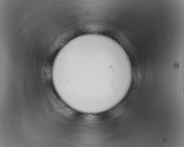 X0000112140718200909041039