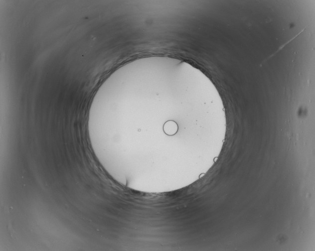 X0000112140720200909041039