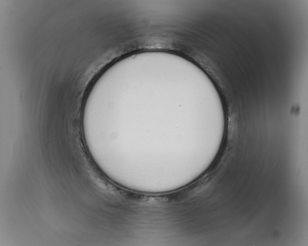 X0000112140721200909041038