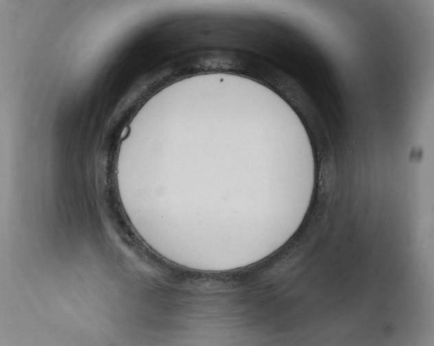 X0000112140722200909041038