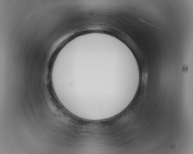 X0000112140724200909041038