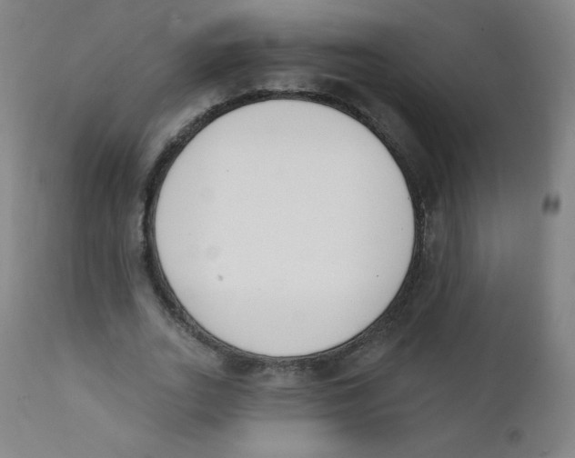 X0000112140727200909041038