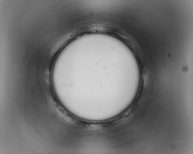 X0000112140729200909041038